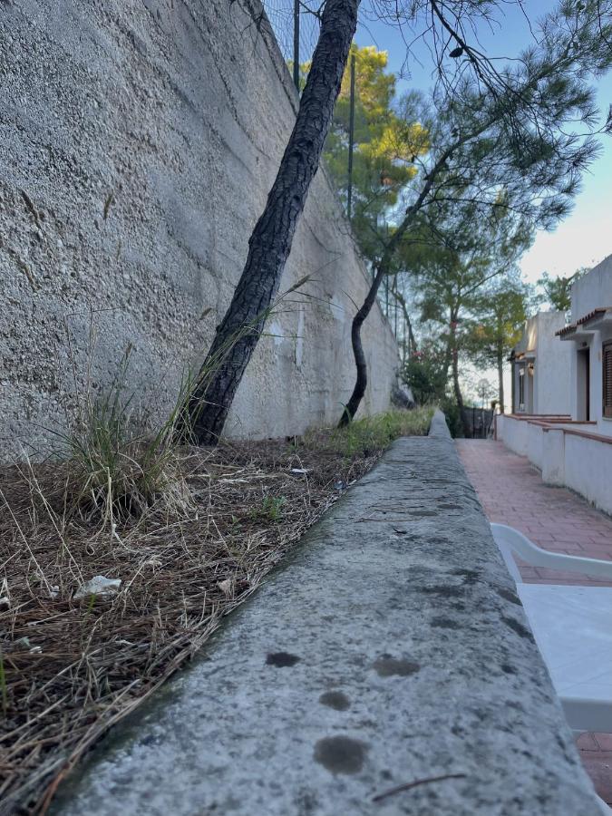 פסקיצ'י Residence Montepucci מראה חיצוני תמונה